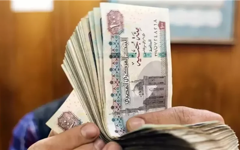 شروط الاستفادة.. منحة العمالة غير المنتظمة 2026 مواعيد وخطوات